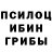Псилоцибиновые грибы Magic Shrooms Leo Ezhelev