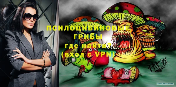 ПСИЛОЦИБИНОВЫЕ ГРИБЫ Аркадак
