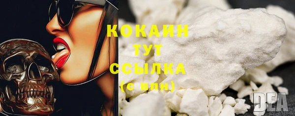 ПСИЛОЦИБИНОВЫЕ ГРИБЫ Аркадак