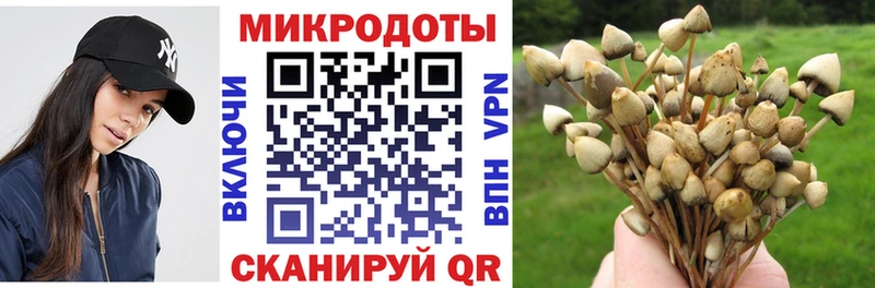 купить наркотик  мега ссылки  Галлюциногенные грибы Psilocybe  Уяр 